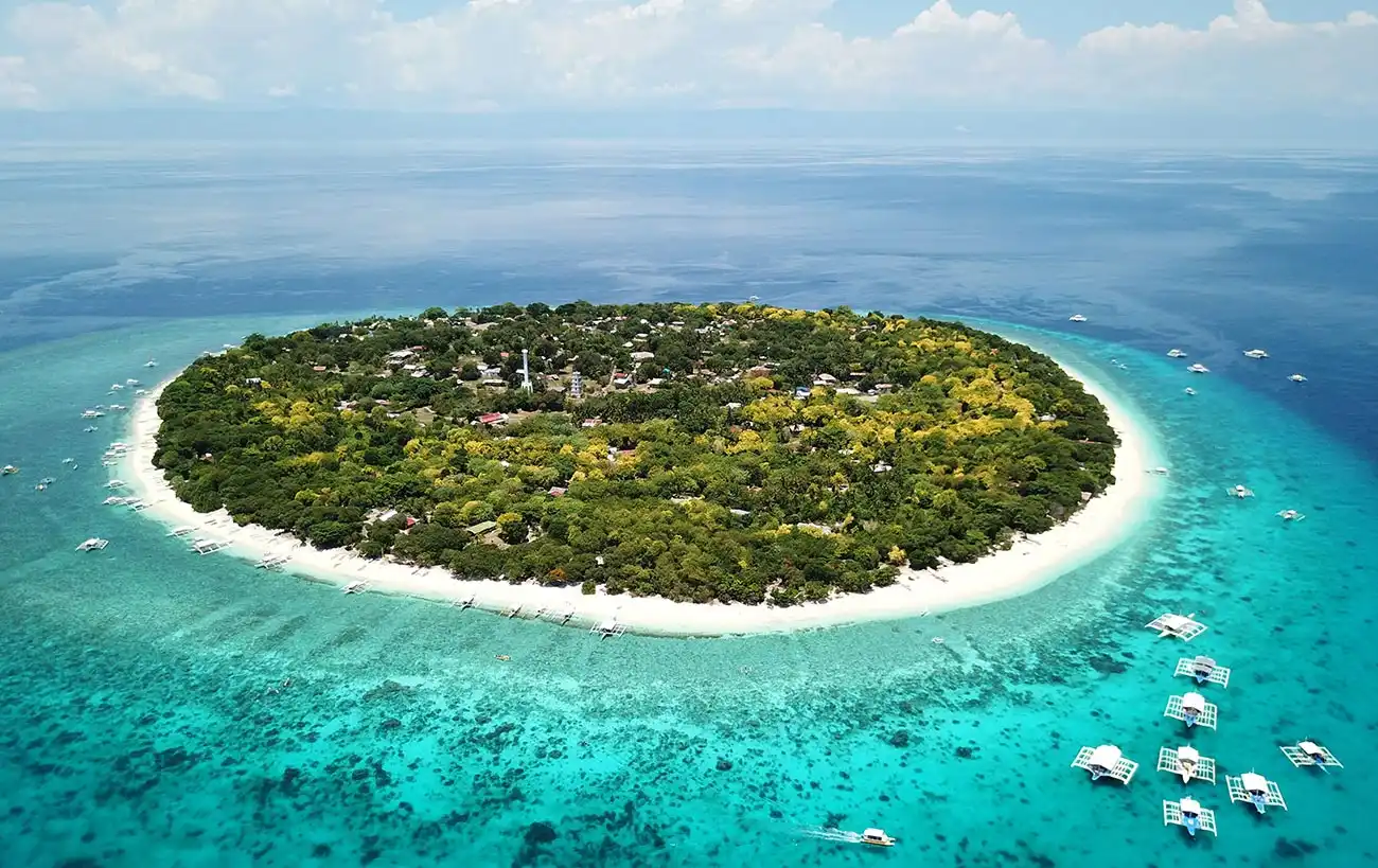 Pamilacan Island dolphins Bohol
